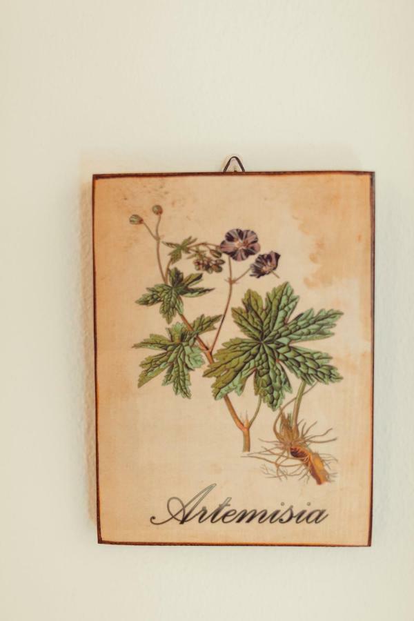 B&B Artemisia Alghero Extérieur photo